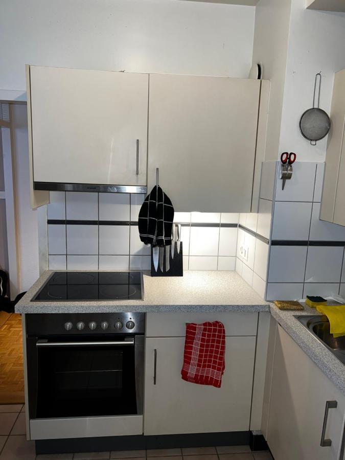 Beautiful Large Studio In Center Of Geneva Free Wifi Daire Dış mekan fotoğraf