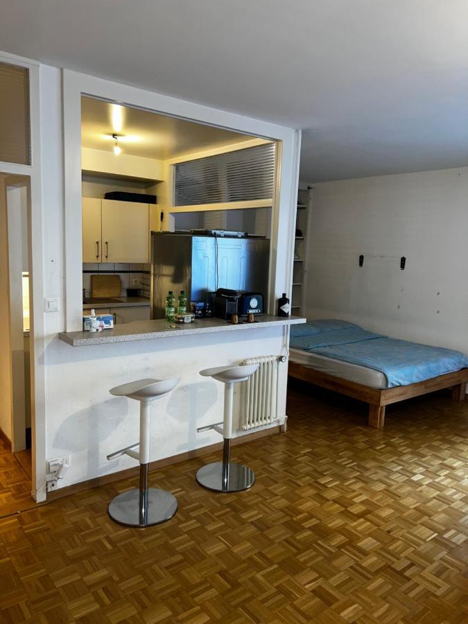 Beautiful Large Studio In Center Of Geneva Free Wifi Daire Dış mekan fotoğraf