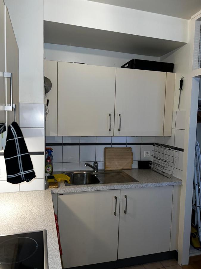 Beautiful Large Studio In Center Of Geneva Free Wifi Daire Dış mekan fotoğraf