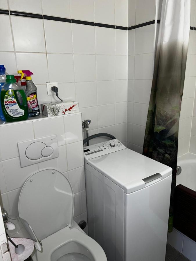 Beautiful Large Studio In Center Of Geneva Free Wifi Daire Dış mekan fotoğraf
